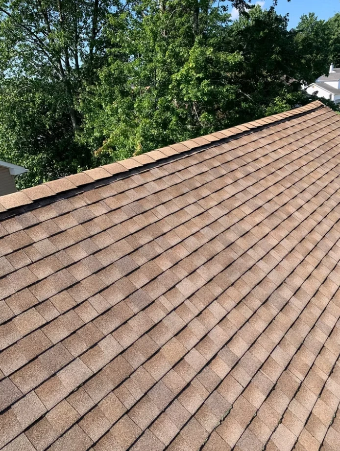 Asphalt Shingles Roof Repair